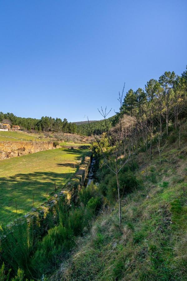 Aradas, Pampilhosa Da Serra, Casa Da Oliveira, Wifi, Ar Condicionado, Churrasqueira, Parqueamento, By Ig Unhais-o-Velho Buitenkant foto